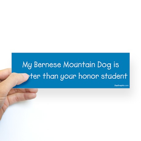 bernese_mountain_dog_honor_student